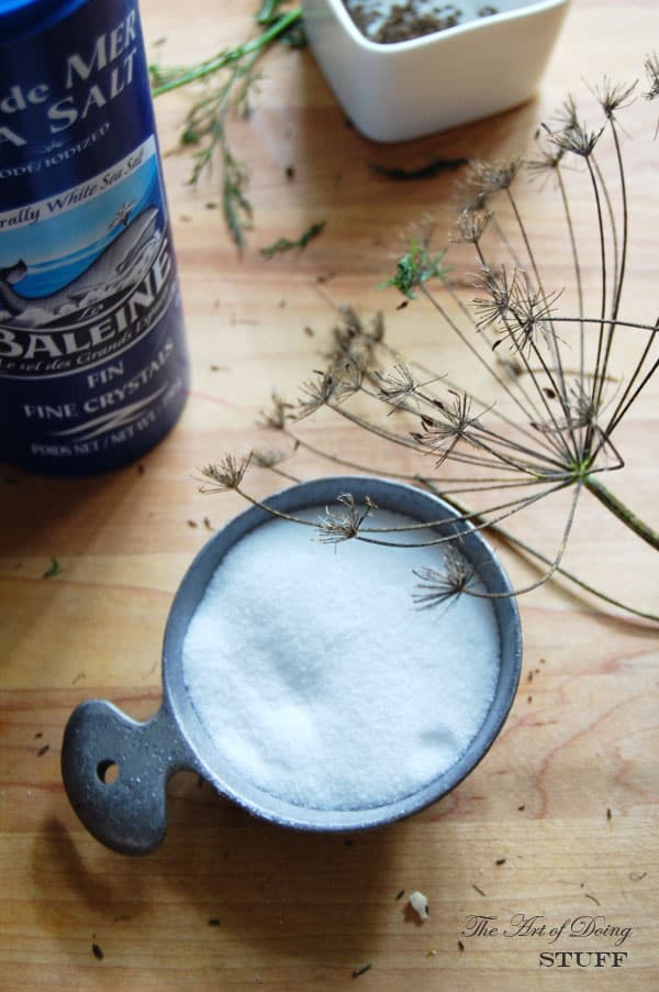 Salt, dill heads and dill fronds on butcher block countertop.