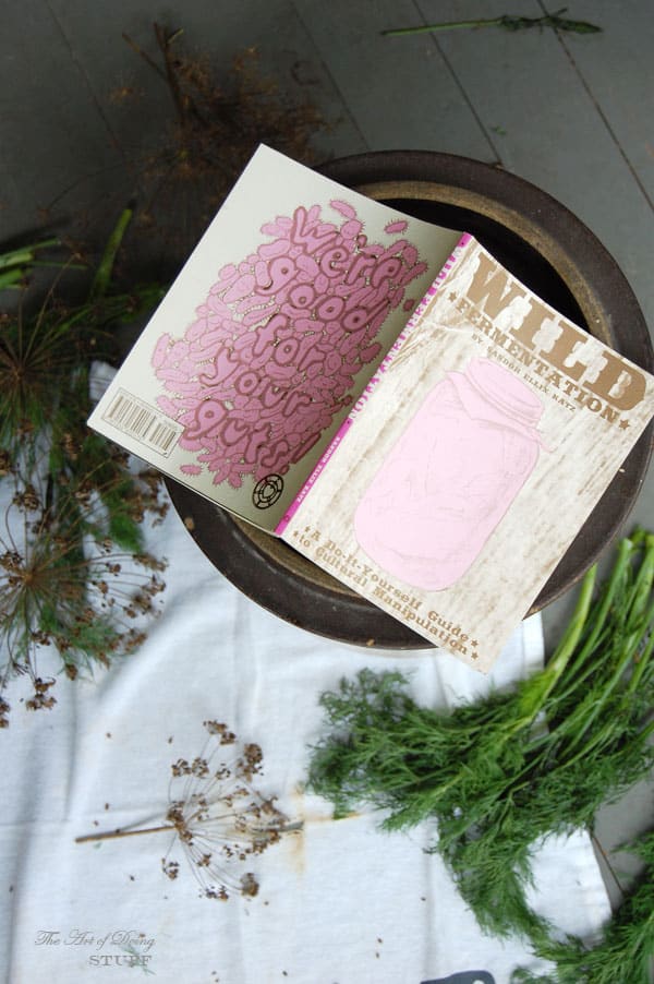 Overhead shot of Fermentation book resting on antique crock sitting on porch floor.