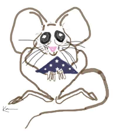 mouse-flag-bag-2