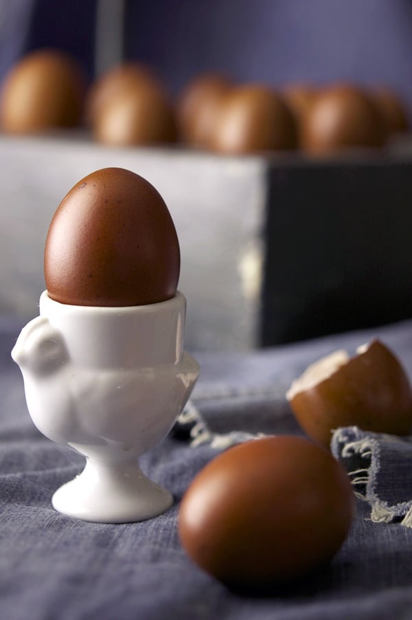 Marans Egg Color Chart