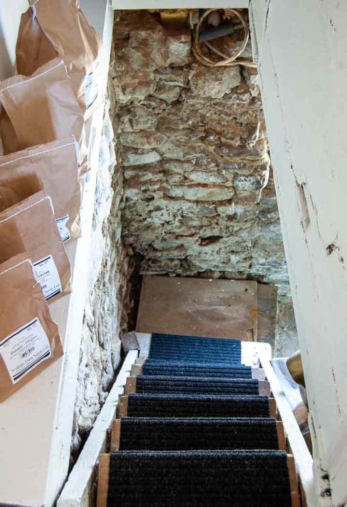 Rickety basement stairs carpeted with black indoor/outdoor carpeting.