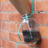 The Best Homemade Fly Trap for Outdoor