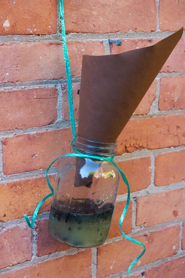 Homemade fly trap made out of a mason jar and a construction paper cone hangs on a brick wall.