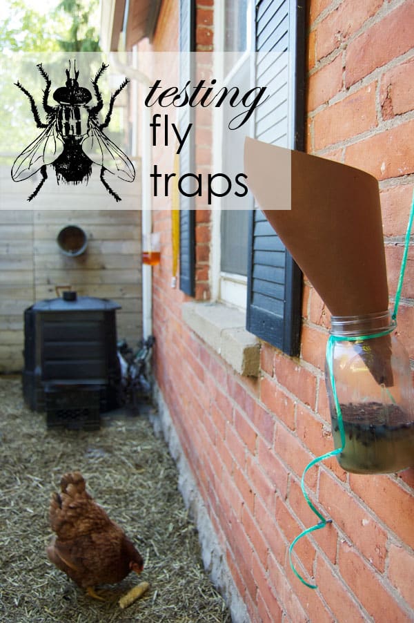 The Best Homemade Fly Trap for Outdoor