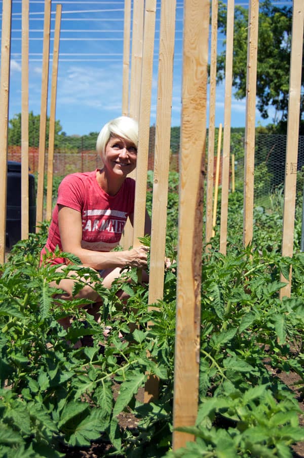 Karen Bertelsen sits in patch of tomatoes.