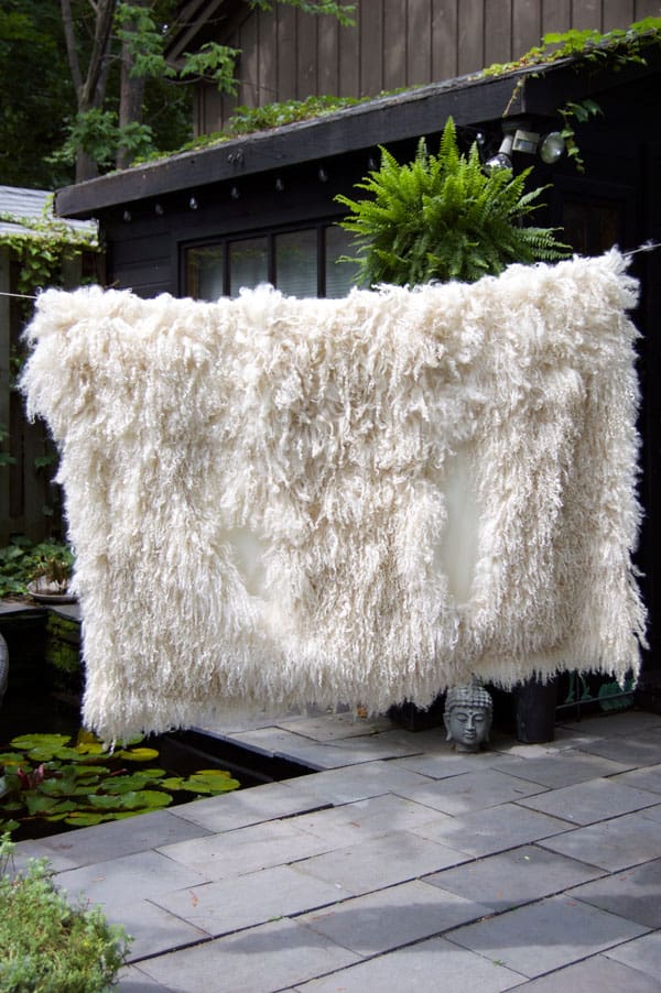 The Day I washed my Mongolian Lambskin throw. The Art of Doing Stuff