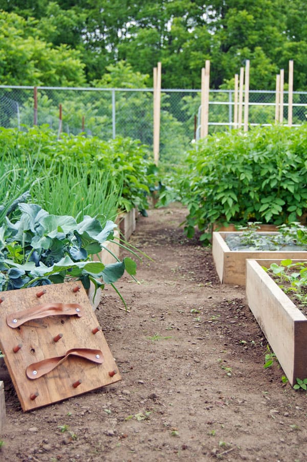 community-garden-left-side