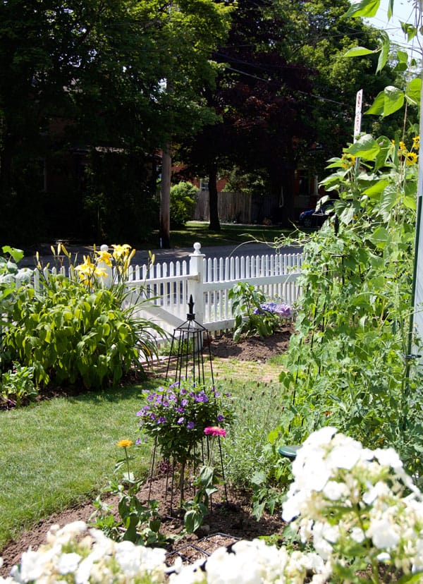 front-yard-vegetable-garden-4