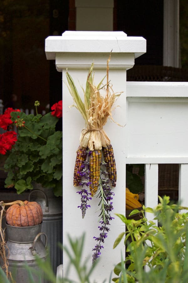 corn-on-porch2
