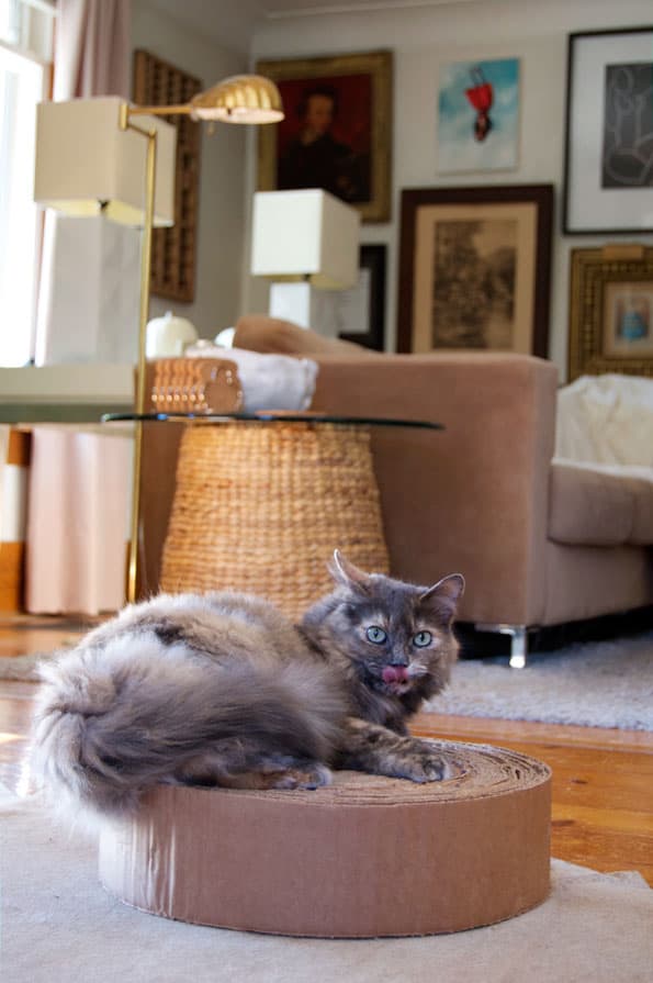 Diy cardboard scratching post deals