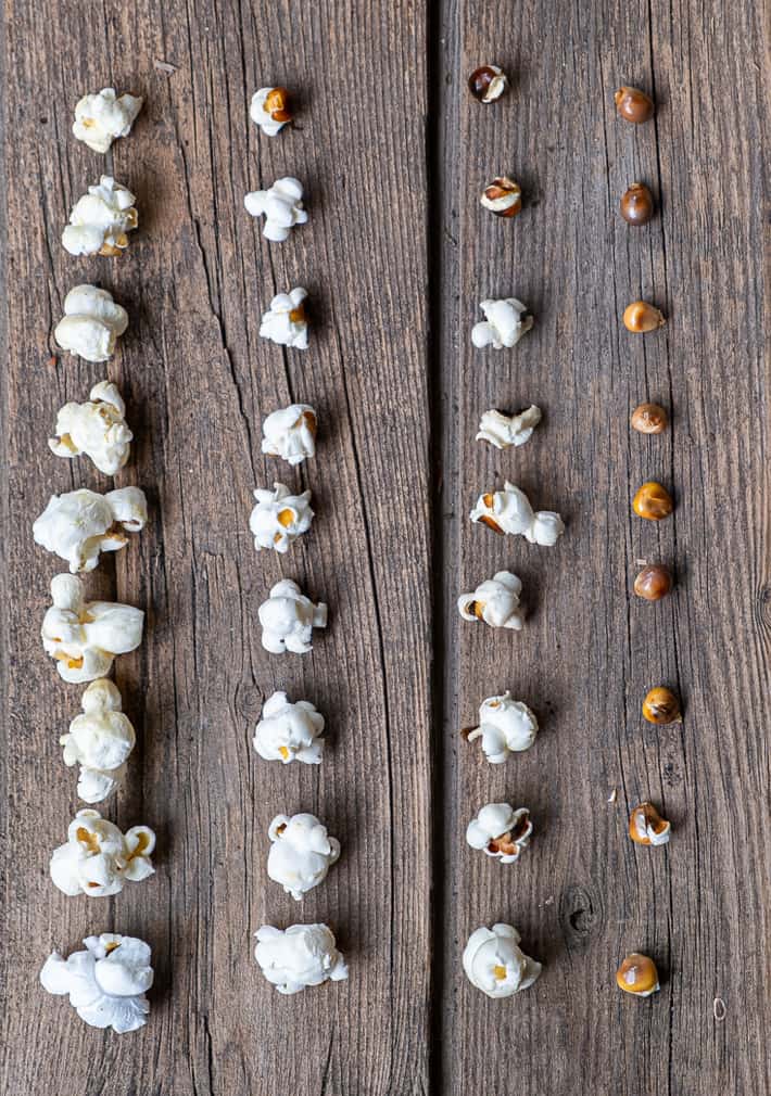 Side by side comparison of popcorn kernels of different  moisture levels and how well they popped.