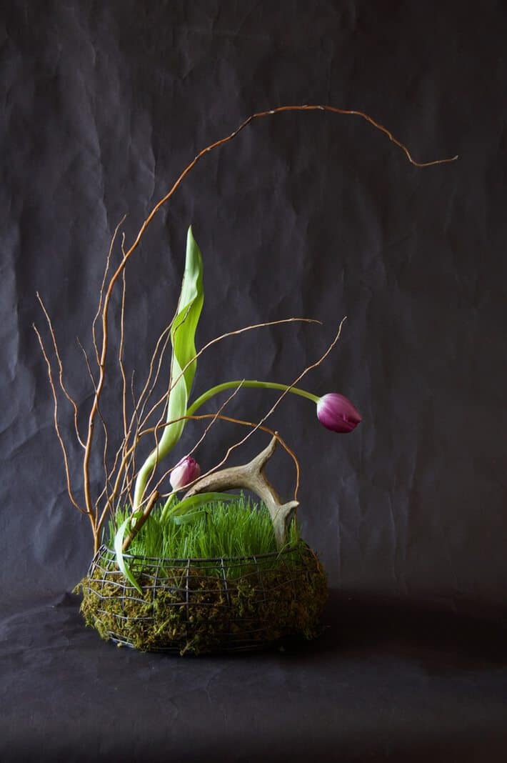 How to grow a basket full of grass in 5 days. Organic real grass flower arrangement.