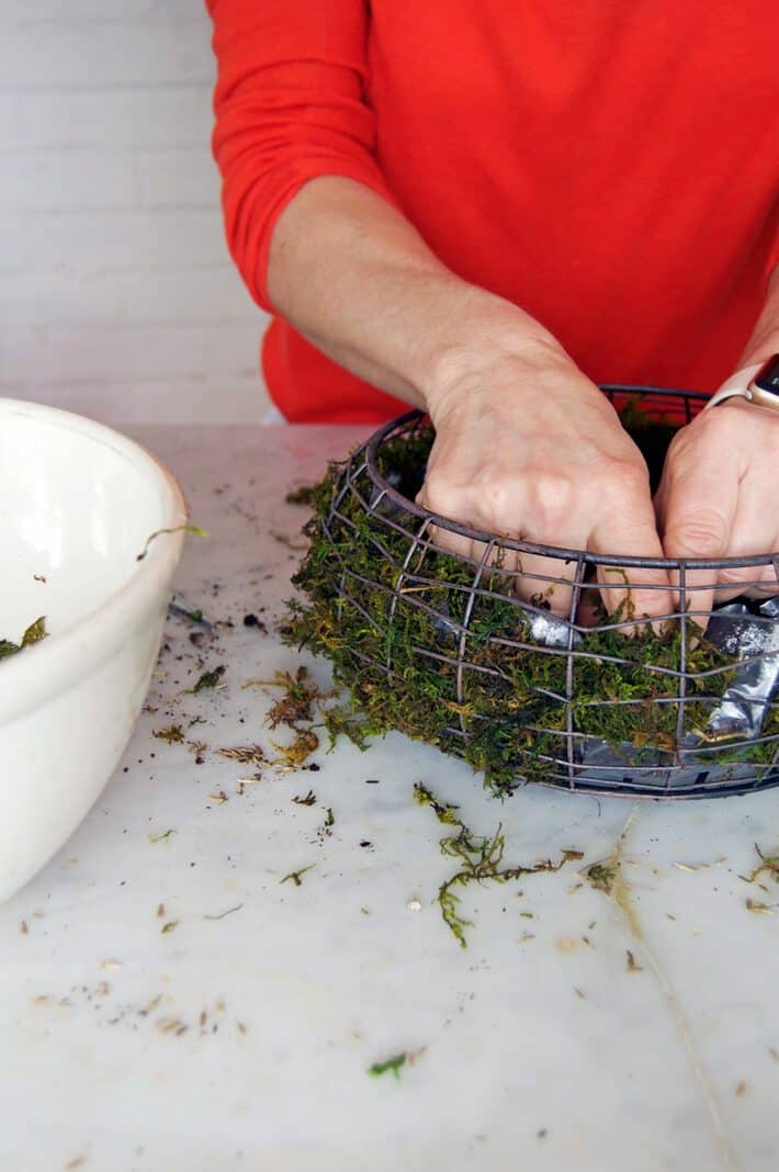 Planting a grass easter basket.