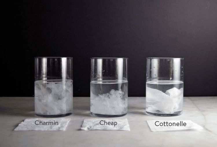 toilet-paper-test-dissolving-3