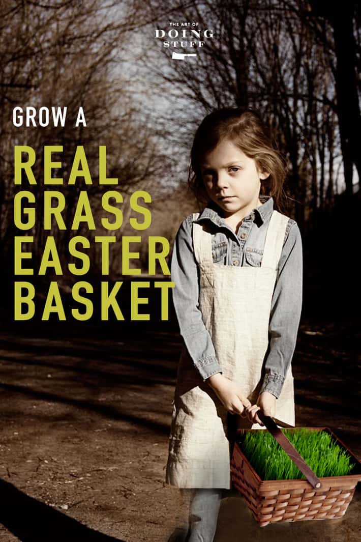 Grow Your Own Easter Grass