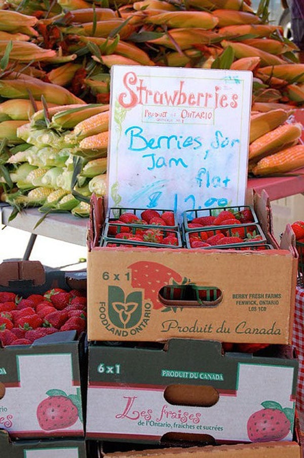 Strawberries for jam at farmer's market.