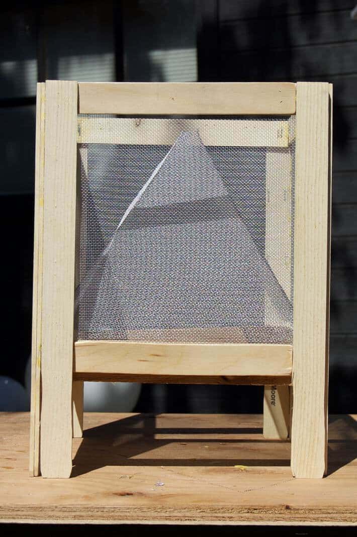 finished-fly-trap