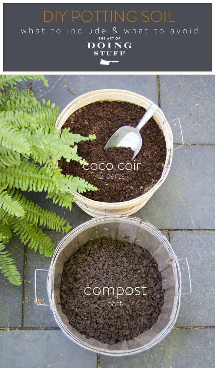 Understanding The Benefits Of Garden Soil And Potting Soil