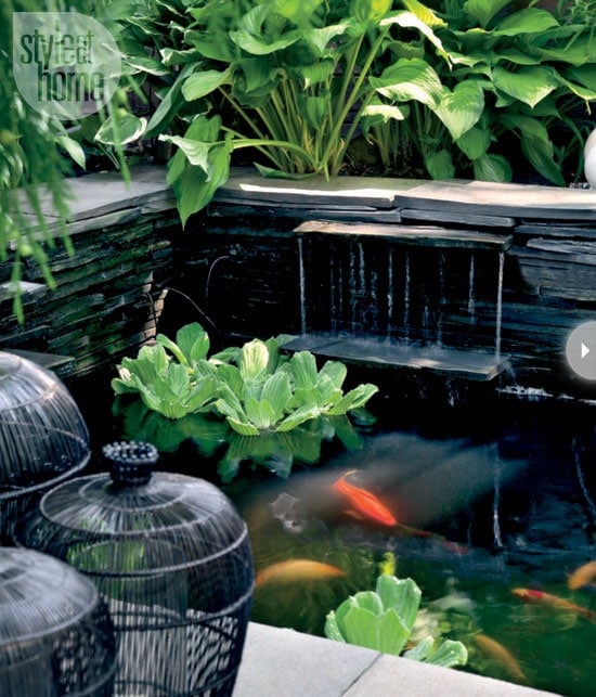 backyard-makeover-pond