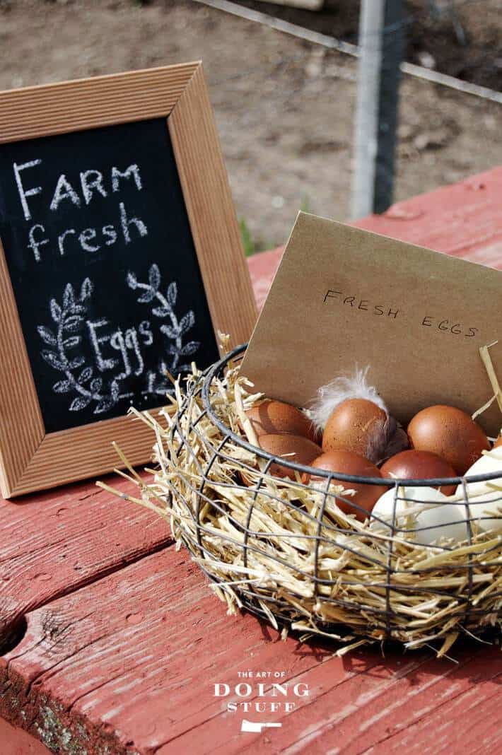 Farm fresh eggs written on small chalkboard sitting beside a straw lined basket of eggs outside on a picnic table.