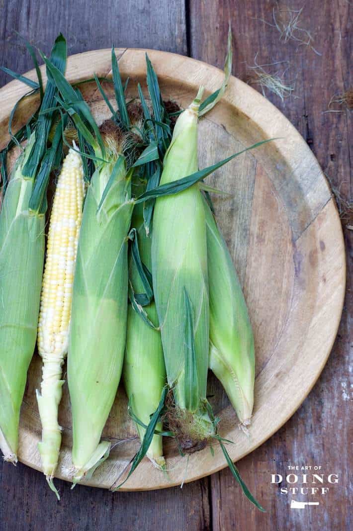 fresh corn on the cob