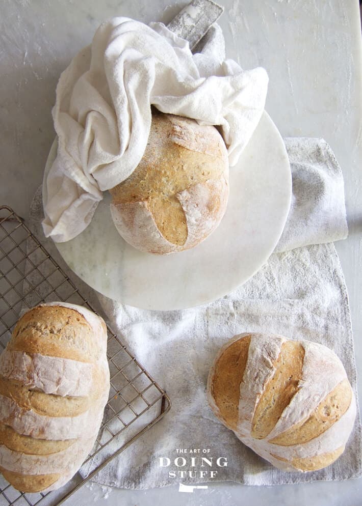 No Knead Bread. Cooking it in a wood fired oven. Artisan Bread.