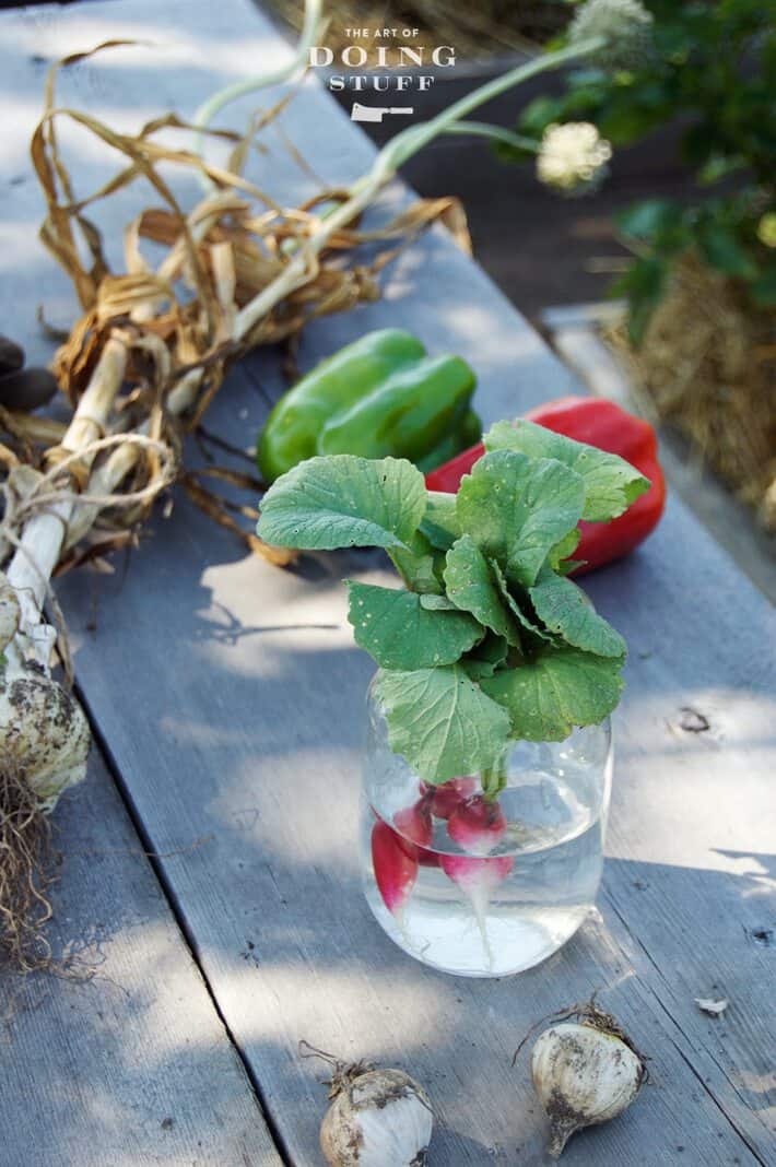 potting-bench