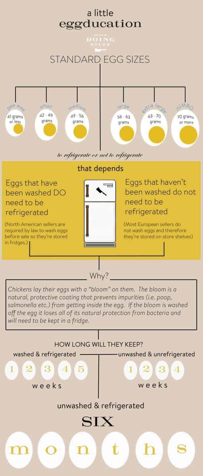 egg-infographic