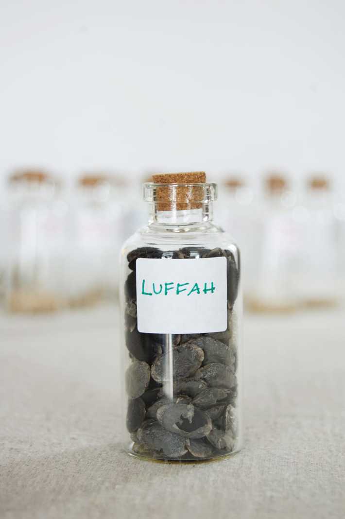 Black luffa seeds in glass bottle.