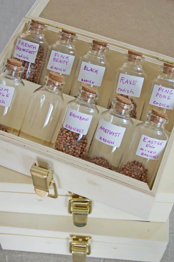 17+ BEST Seed Storage Ideas  How to Store Seeds! - PunkMed