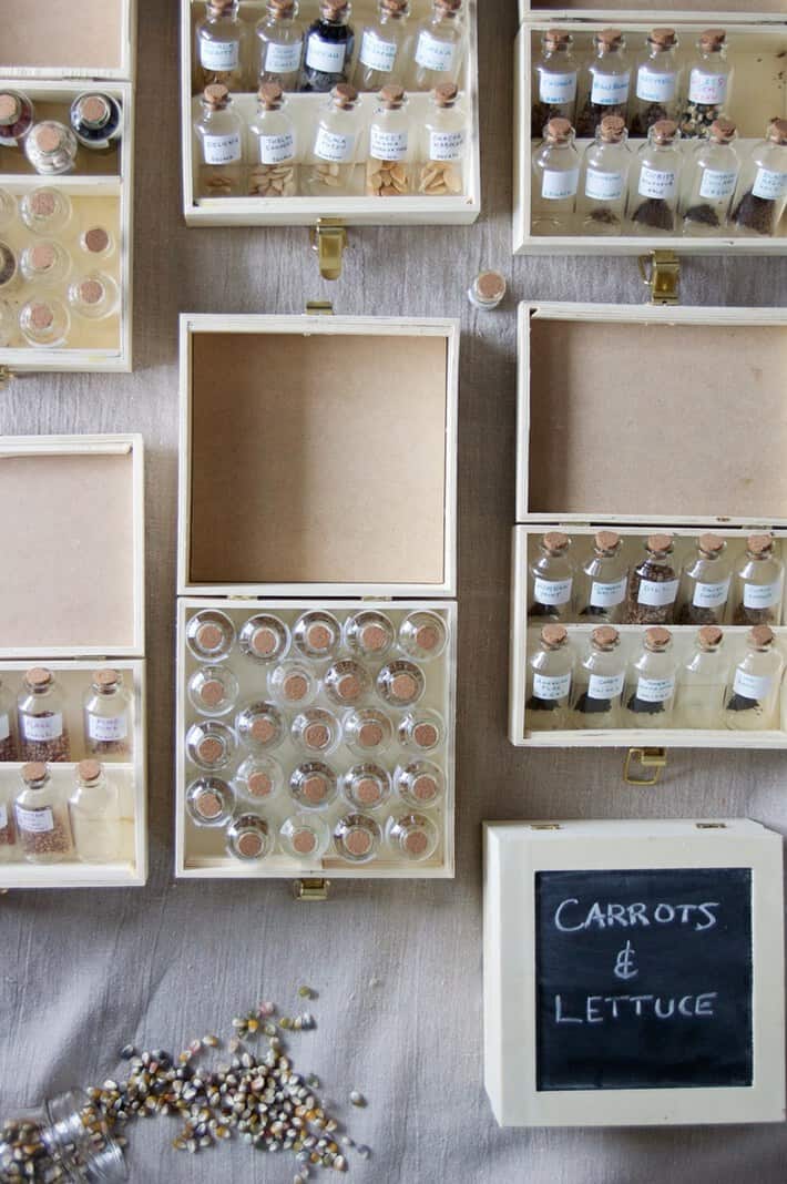 Many mini jars of seeds in wood boxes, one wood box labelled carrots & lettuce.