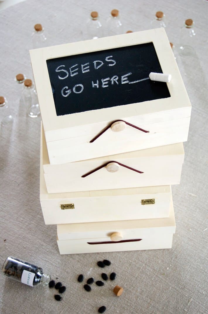 seeds-go-here