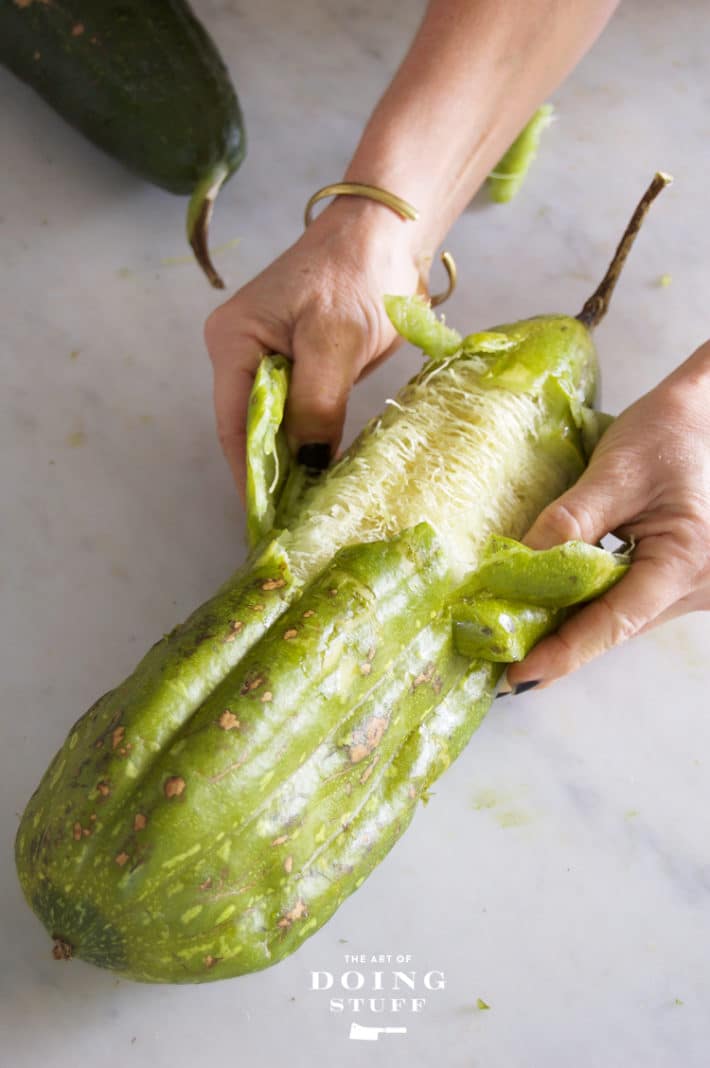 Peeling the skin of a green luffa.