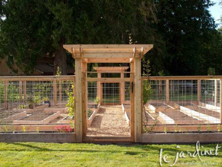 raised bed garden