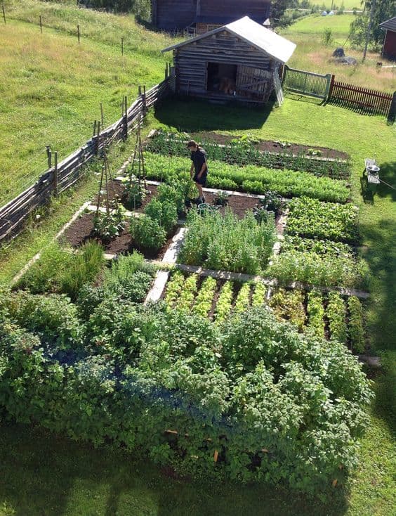 Raised Bed Vegetable Garden on a Slope - Gardening - Healthy Alyona