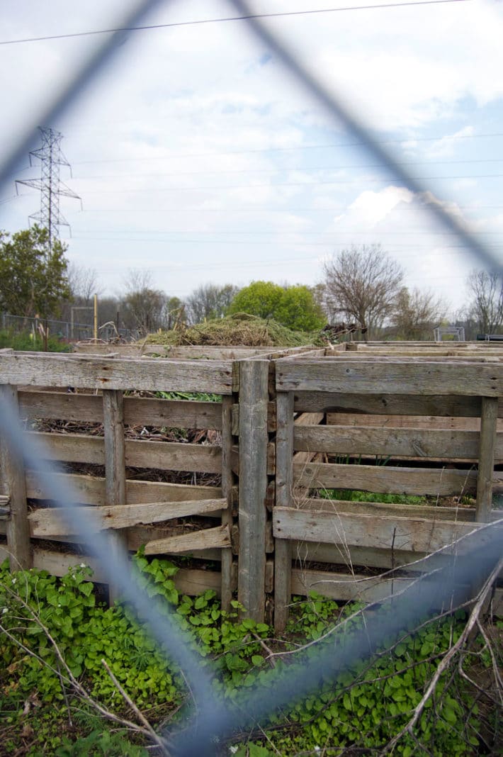 Compost bins overflowing with green material made out of old pallets sit in a field seen behind a chain link fence.