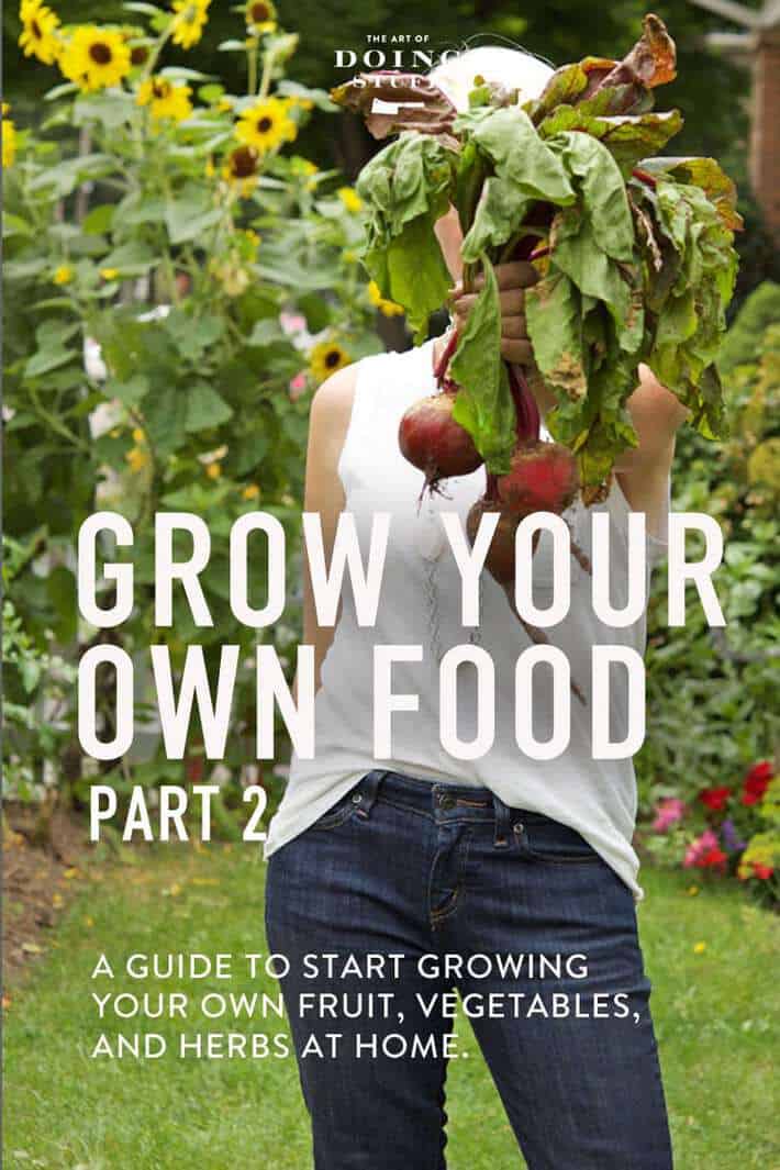 Grow Your Own Food With Some of My Best Advice.