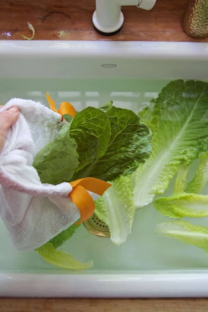 Filling a damp salad bag with wet lettuce.