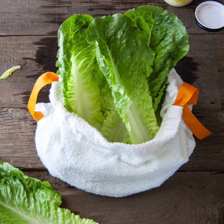 Make a Salad Bag