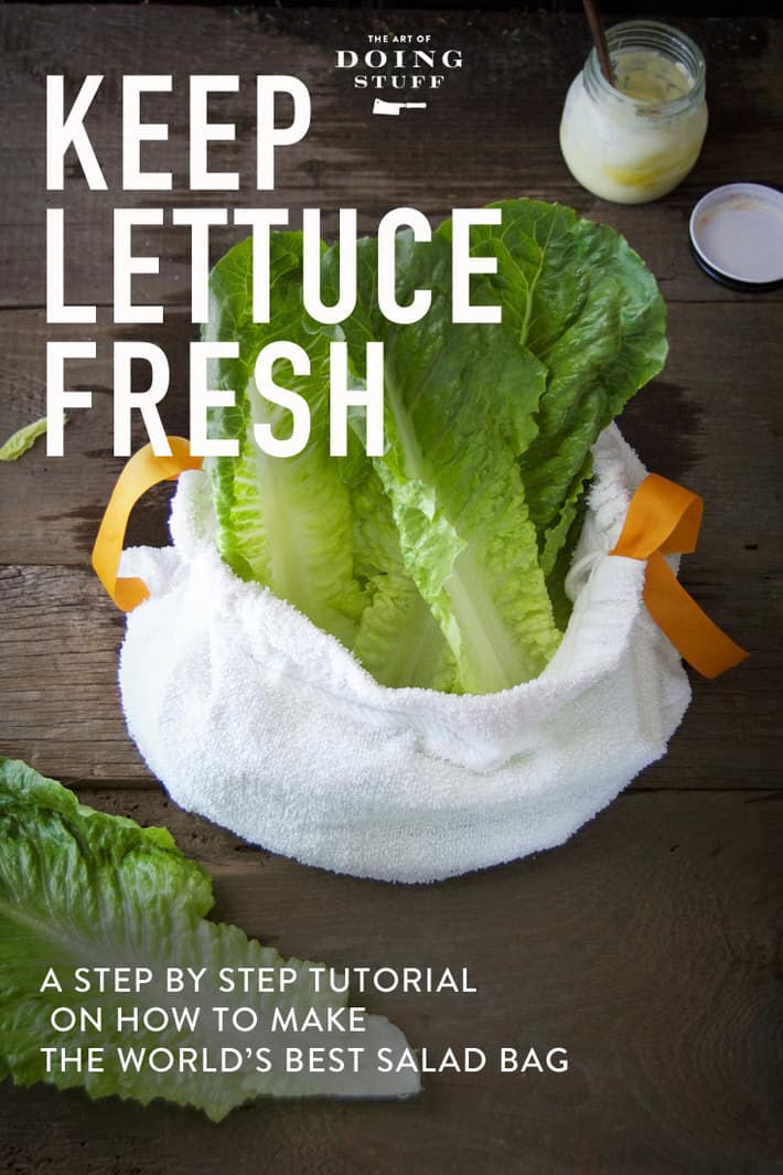 How to Store Lettuce and Keep it Fresh