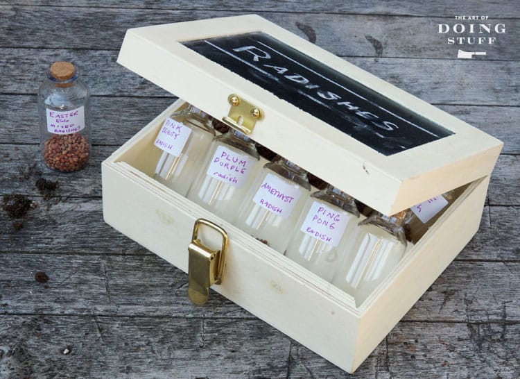 A wood box with brass clasp holding glass vials of radish seeds.