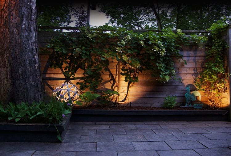 DIY LED lighting shines up on a horizontal wood fence with a climbing hydrangea.