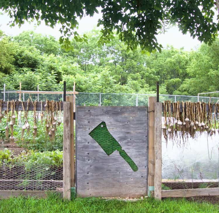 Vegetable garden gate with cutout of cleaver on it and garlic hanging over garden fence.