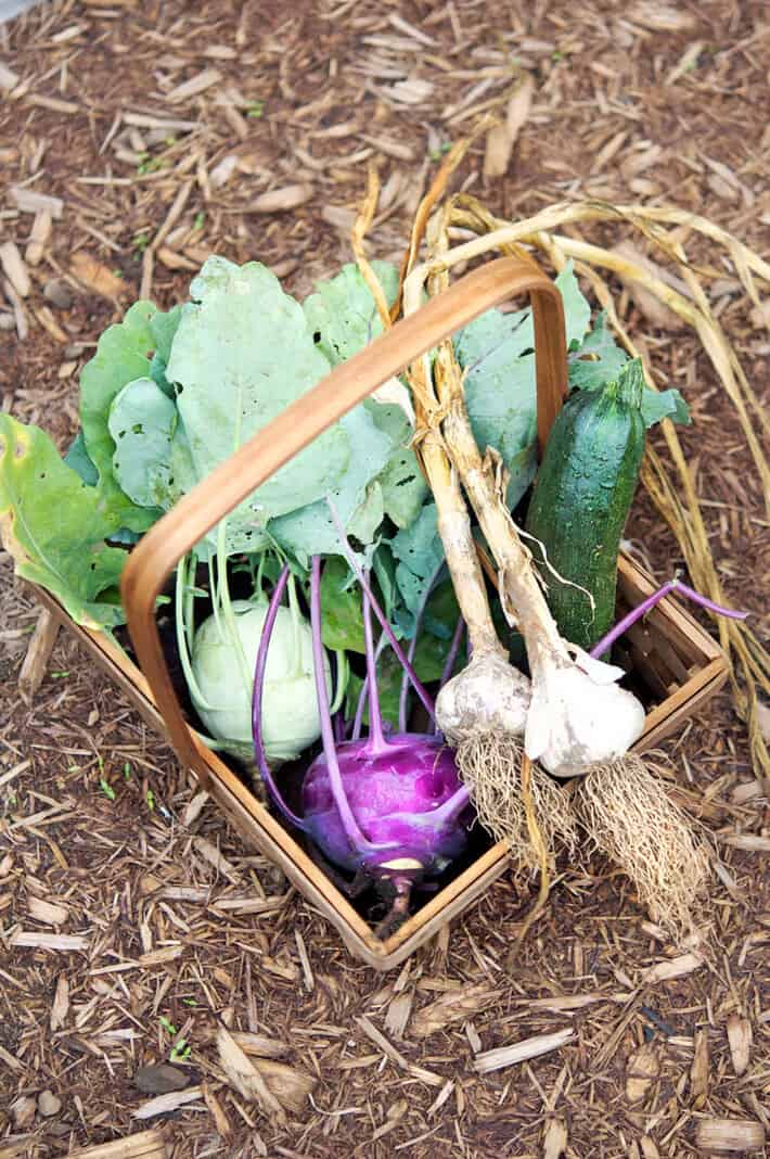 Vegetable garden design