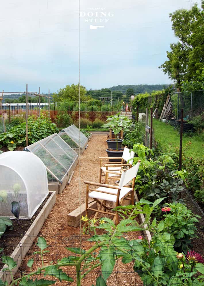 Vegetable garden design