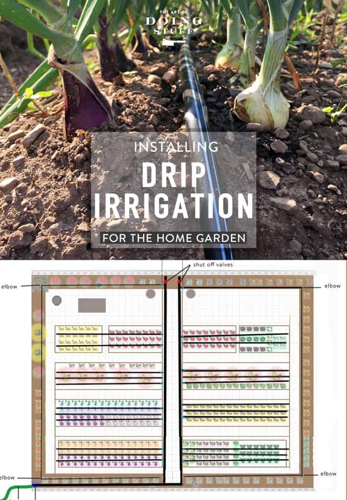 Installing Drip Irrigation in Your Home Garden.