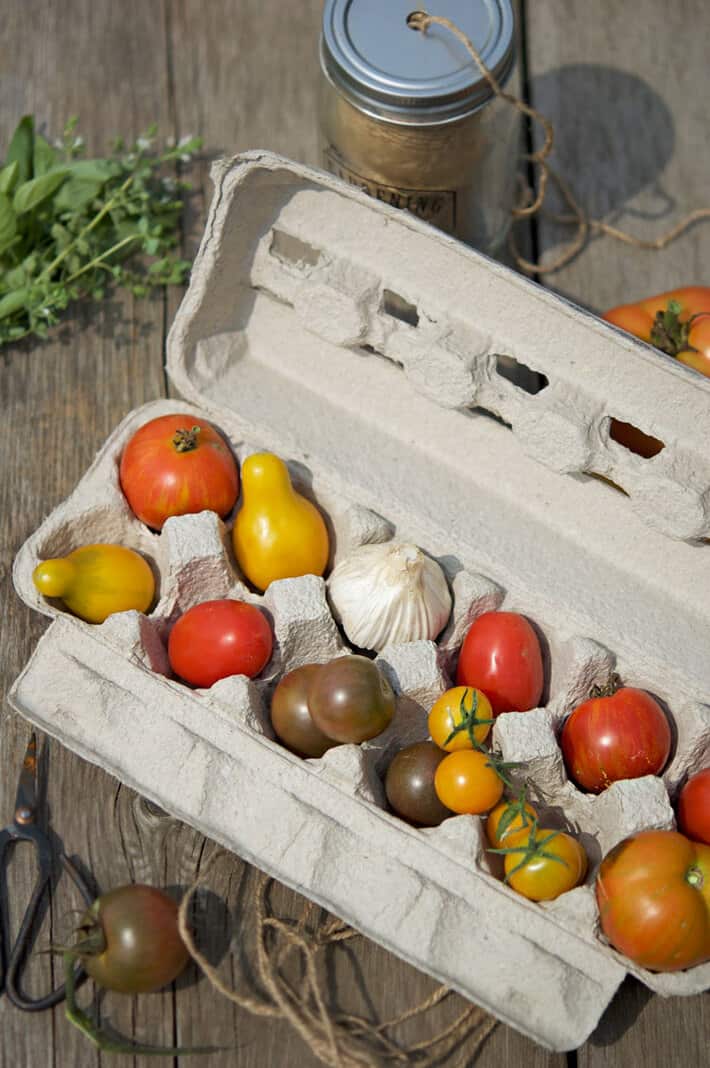 Summer hostess gift of cardboard egg carton filled with tomatoes and garlic.