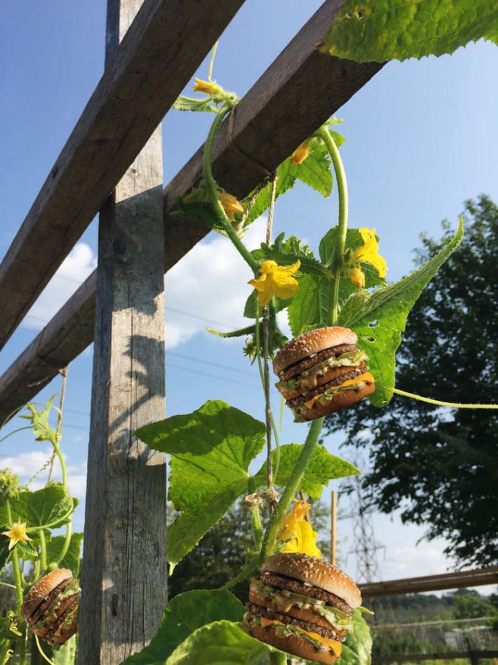 home grown big mac