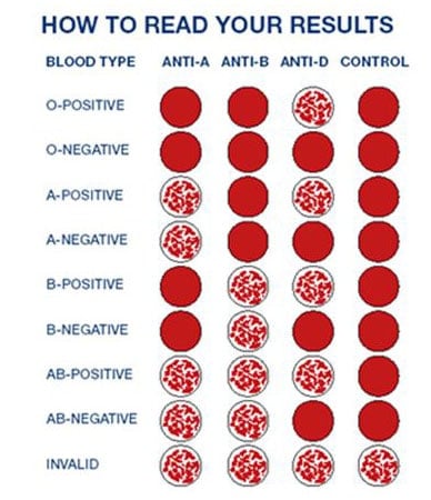 ELDONCARD BLOOD TYPE TEST COMPLETE KIT A,B,O,AB & RHESUS D 