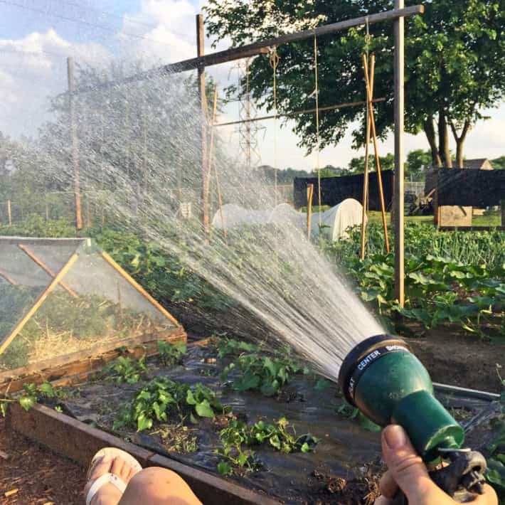 A woman sits in a chair hand watering her garden with a sprinkler hose.